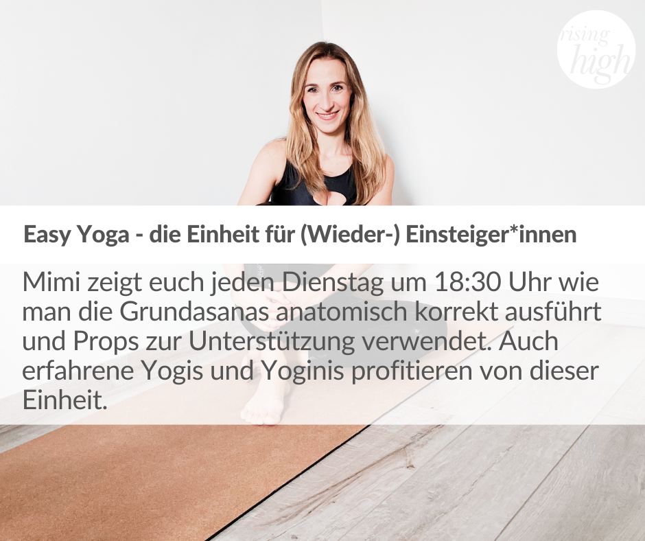 Yoga für Anfänger